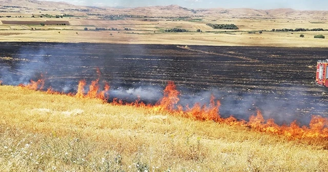 Elazığ’da 150 dönümlük alan kül oldu