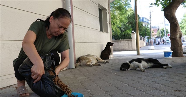 Emekli maaşını sokak köpekleri için de harcıyor