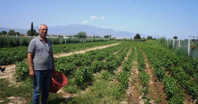 Emekli oldu self servis bahçe işine girdi