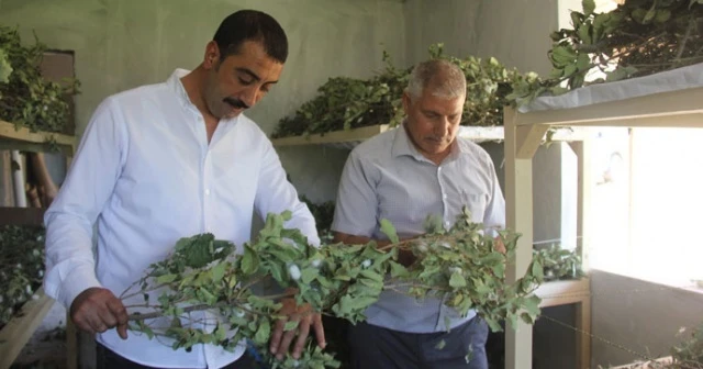 Evinin boş odası 42 günde 3 bin 500 lira kazandırdı