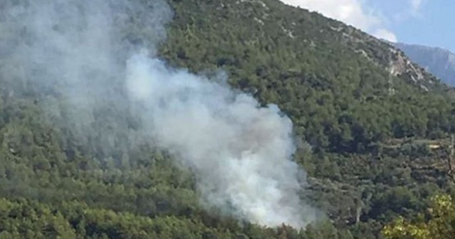 Hatay&#039;da orman yangını