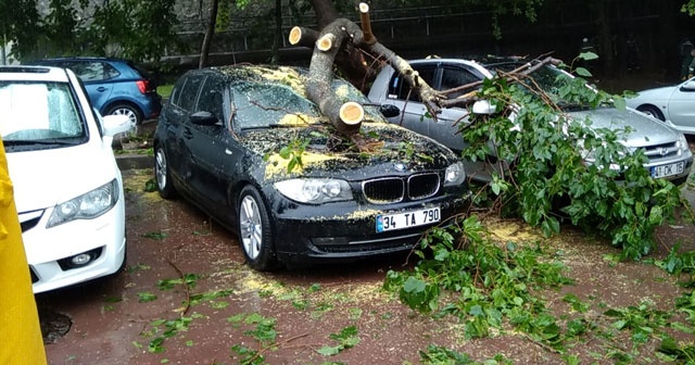 İkiye ayrılan ağaç otomobilleri hurdaya çevirdi