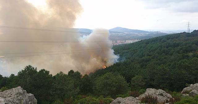 İstanbul Valiliğinden, Aydos Ormanındaki yangına ilişkin açıklama