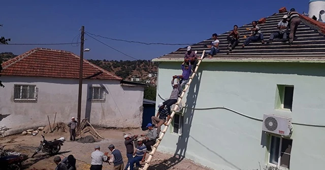 Karıncaları örnek alan köylüler sorunu yarım saatte çözdü