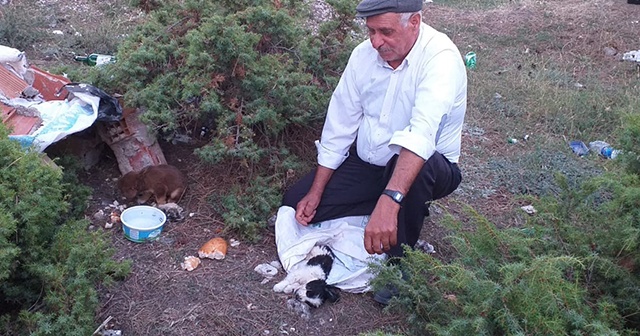 Köpek yavrularını çuvala koyup ölüme terk ettiler