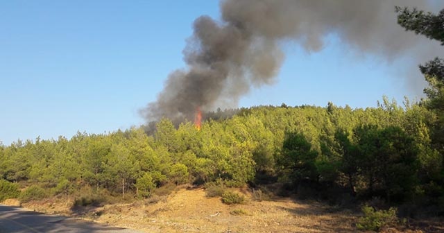 Muğla&#039;da orman yangını