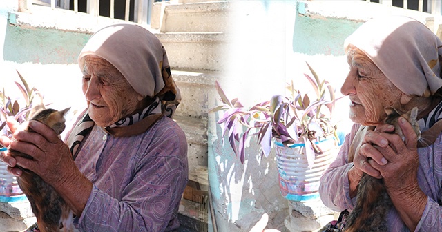 Otomobilin çarptığı kedisinin ardından gözyaşı döken yaşlı kadın yürek burktu