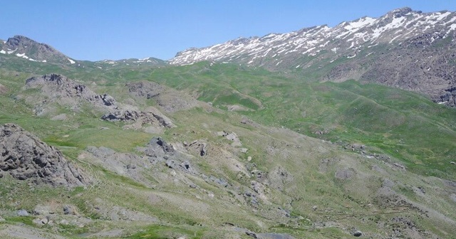 PKK’lıların tuzakladığı el yapımı patlayıcı infilak etti: 1 işçi öldü, 2 işçi yaralandı