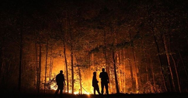 Rusya&#039;da 3 milyon hektarı aşkın orman kül oldu