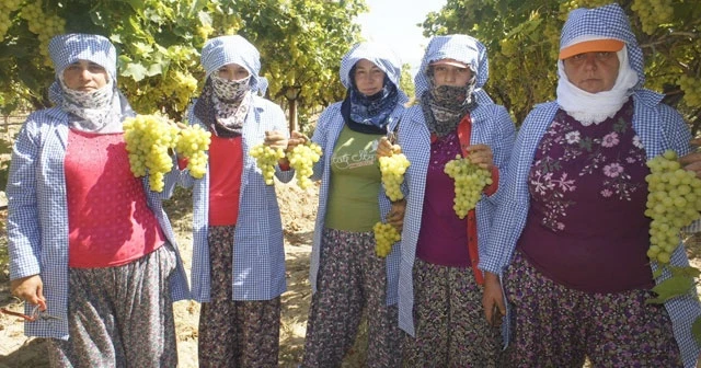 Şeker hastalarının gözdesi ihracat yolculuğuna başlıyor