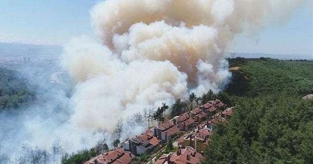 Sevindiren haber geldi! Antalya&#039;da başlayan orman yangını kontrol altına alındı