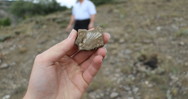 Sivas’ta dünya tarihine ışık tutacak fosiller bulundu
