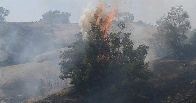 Tunceli&#039;de orman yangını
