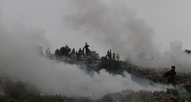 Yahudi yerleşimciler Filistinlilere ait yüzlerce zeytin ağacını ateşe verdi