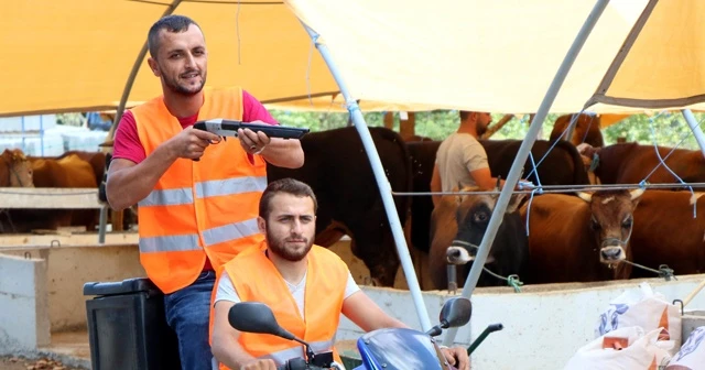 'Boğa Yakalama Timi' kurbana hazır