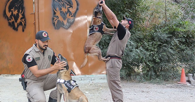 &#039;Cadı&#039;, &#039;Pars&#039; ve &#039;Tipi&#039;, Hakkari&#039;de uyuşturucuya geçit vermiyor