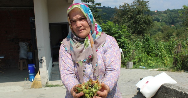 21 bin fındık üreticisinin cebine 745 milyon TL girecek