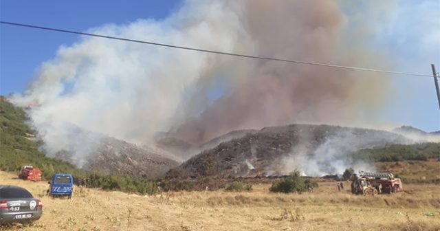 Afyon&#039;da orman yangını