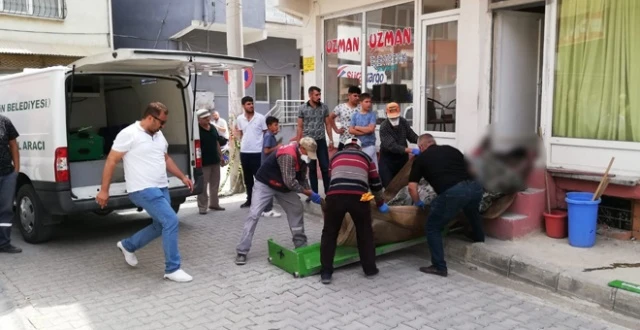 Ağır koku mahalleyi sarınca korkunç gerçek ortaya çıktı