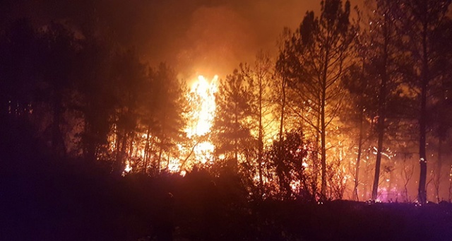 Antalya&#039;da orman yangını çıktı, ekipler müdahale ediyor