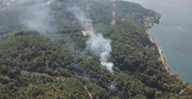 Beykoz&#039;da ormanlık alanda yangın