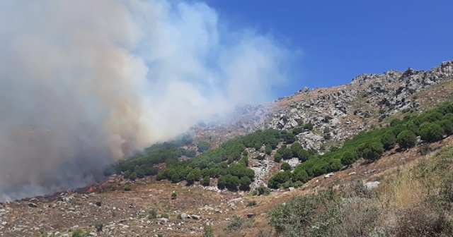 Burgazada ve Marmara Adası&#039;nda orman yangını