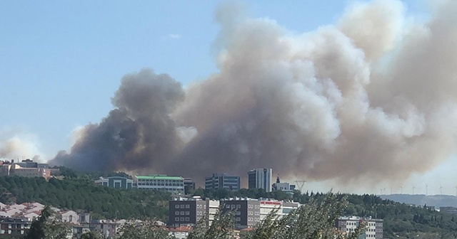 Çanakkale&#039;deki yangın kontrol altına alındı