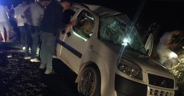 Diyarbakır'da ticari araç şarampole devrildi, 5 kişi yaralandı