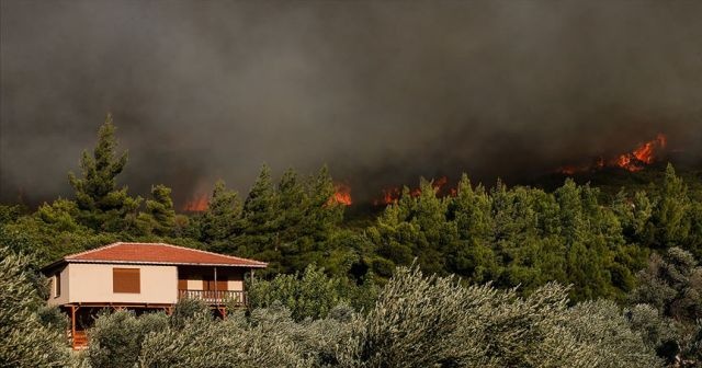 Ege&#039;de 4 ilçede orman yangını