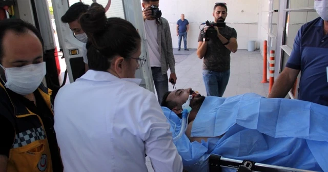 Elini arı soktu! Yoğun bakıma alındı
