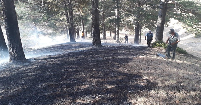 Erzurum&#039;da orman yangını