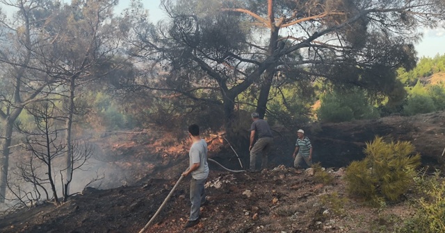 Eskişehir'de çıkan orman yangını büyümeden söndürüldü