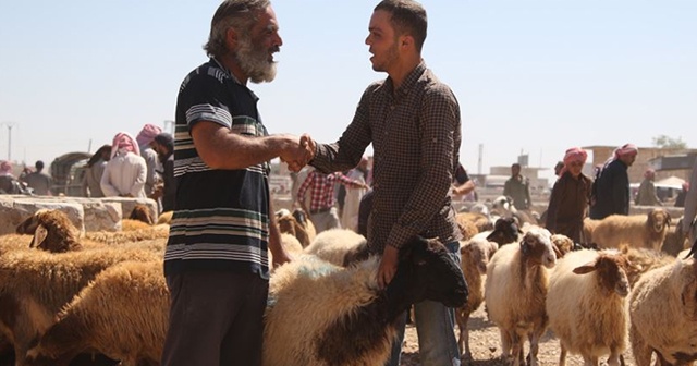 Fırat Kalkanı ve Zeytin Dalı bölgelerinde Kurban Bayramı hazırlıkları