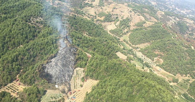 Hatay&#039;da çıkan orman yangını büyümeden söndürüldü