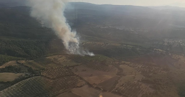 İzmir&#039;de bir orman yangını daha