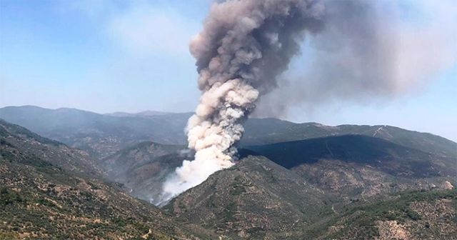 İzmir&#039;de orman yangını