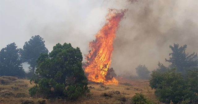 Kahramanmaraş&#039;ta orman yangını