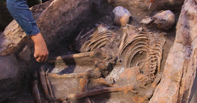 Kazı çalışmasında 5 bin yıllık insan iskeletleri çıktı