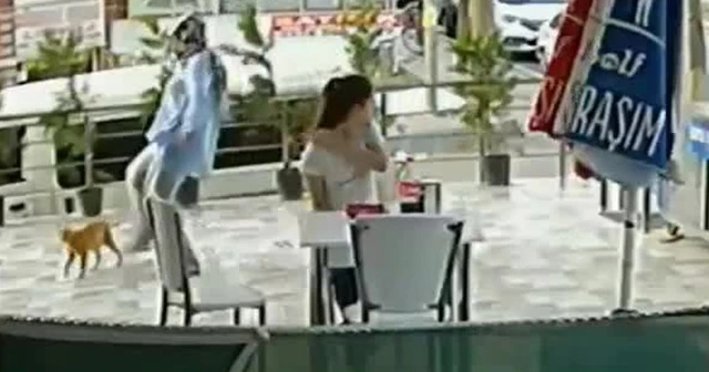 Kediye tekme atan kadın güvenlik kamerasına yakalandı