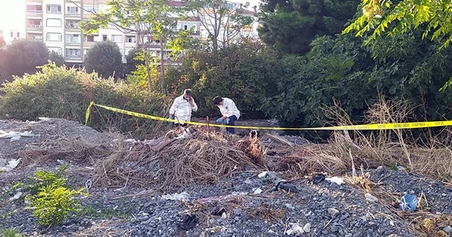 Kötü koku gelen ağaçlık alandan ceset çıktı