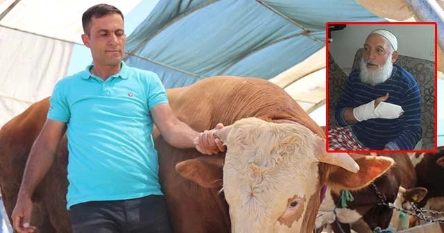 Kurban pazarında ilginç olay: Pazarlık ettiği adamın parmaklarını kırdı