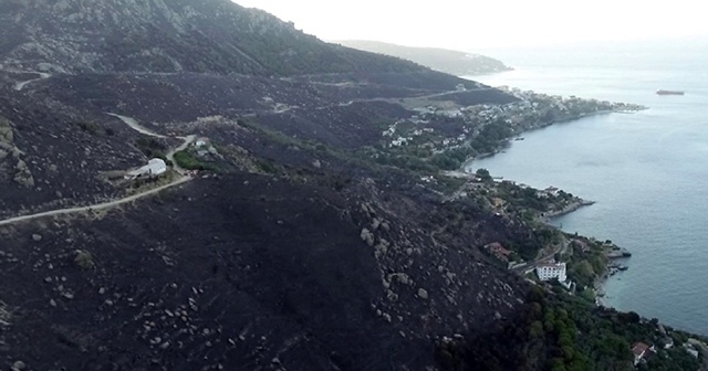 Marmara Adası'ndaki yangının bilançosu ortaya çıktı