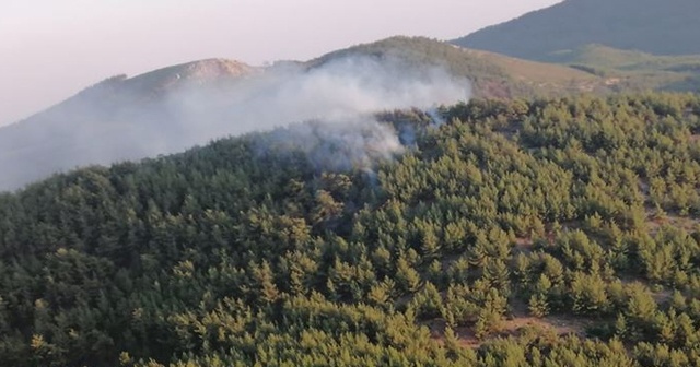 Muğla&#039;da korkutan orman yangını! Havadan ve karadan müdahale ediliyor