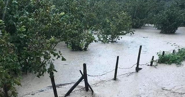 Ordu’da fındık bahçelerini su bastı