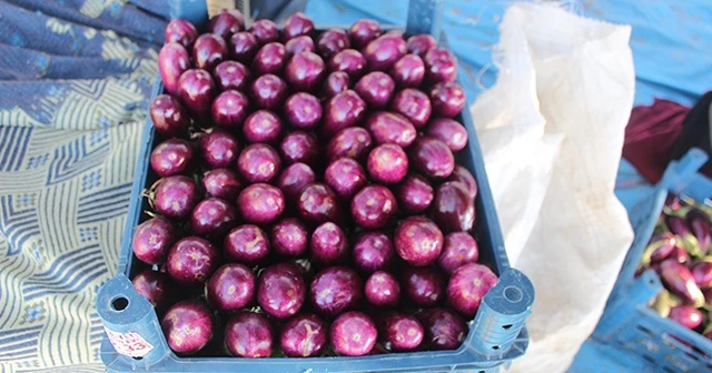 Patlıcan tarlada 25 kuruş, pazarda 1,5 lira