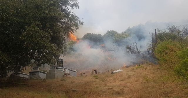 Samandağ&#039;da çıkan yangın korkuttu