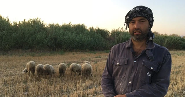 Siyaseti bıraktı çobanlık yapıyor