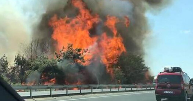 Tekirdağ’da korkutan yangın