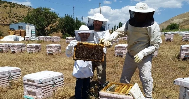 Üretimde artış yüzde 100, fiyatlar tepe taklak oldu