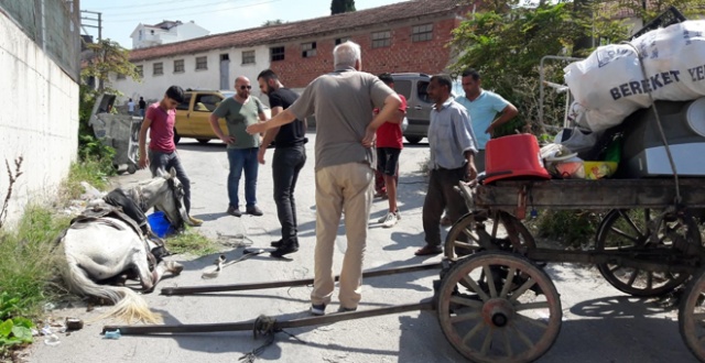 Yaralı atı sahibinin elinden JÖH personeli kurtardı